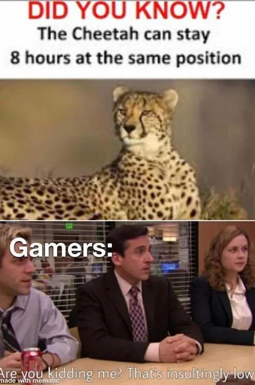 The image is split into two panels. The top panel shows a cheetah lying still in the wild with text reading 'DID YOU KNOW?…