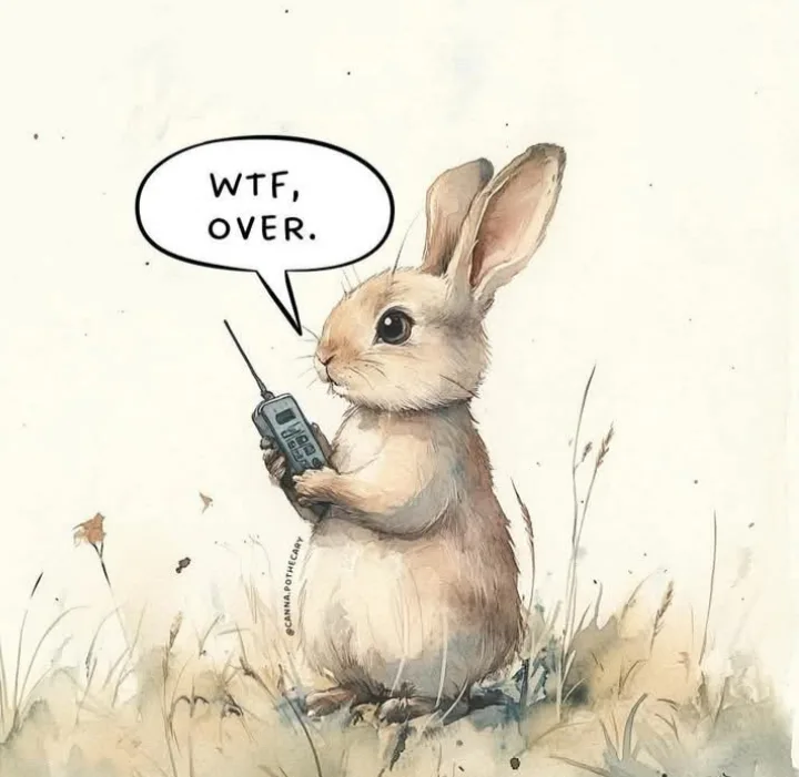 Do You Read Me? Over and Out!