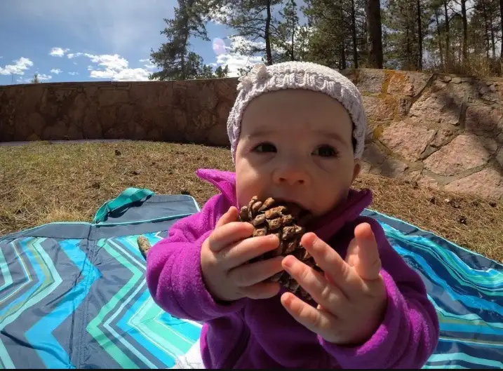 A baby wearing a white knit hat and purple fleece jacket sits on a blue and teal patterned blanket outdoors, holding a…