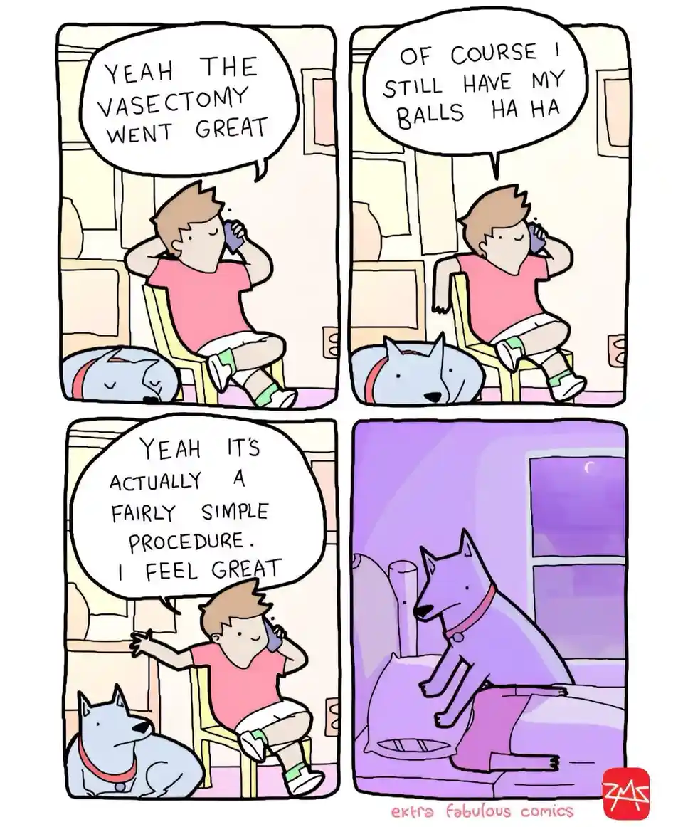 A four-panel comic shows a man on the phone, cheerfully reporting his vasectomy went well and that he still has his balls…