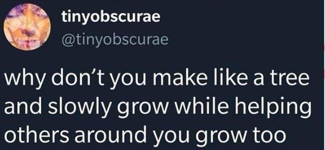 A screenshot of a tweet from user tinyobscuraе showing a distorted, pixelated close-up of a person's face as the profile…