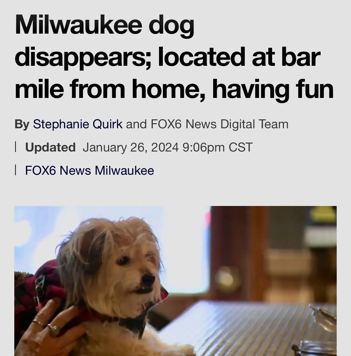 A news article screenshot shows a headline about a dog in Milwaukee that disappeared but was found at a bar a mile away…