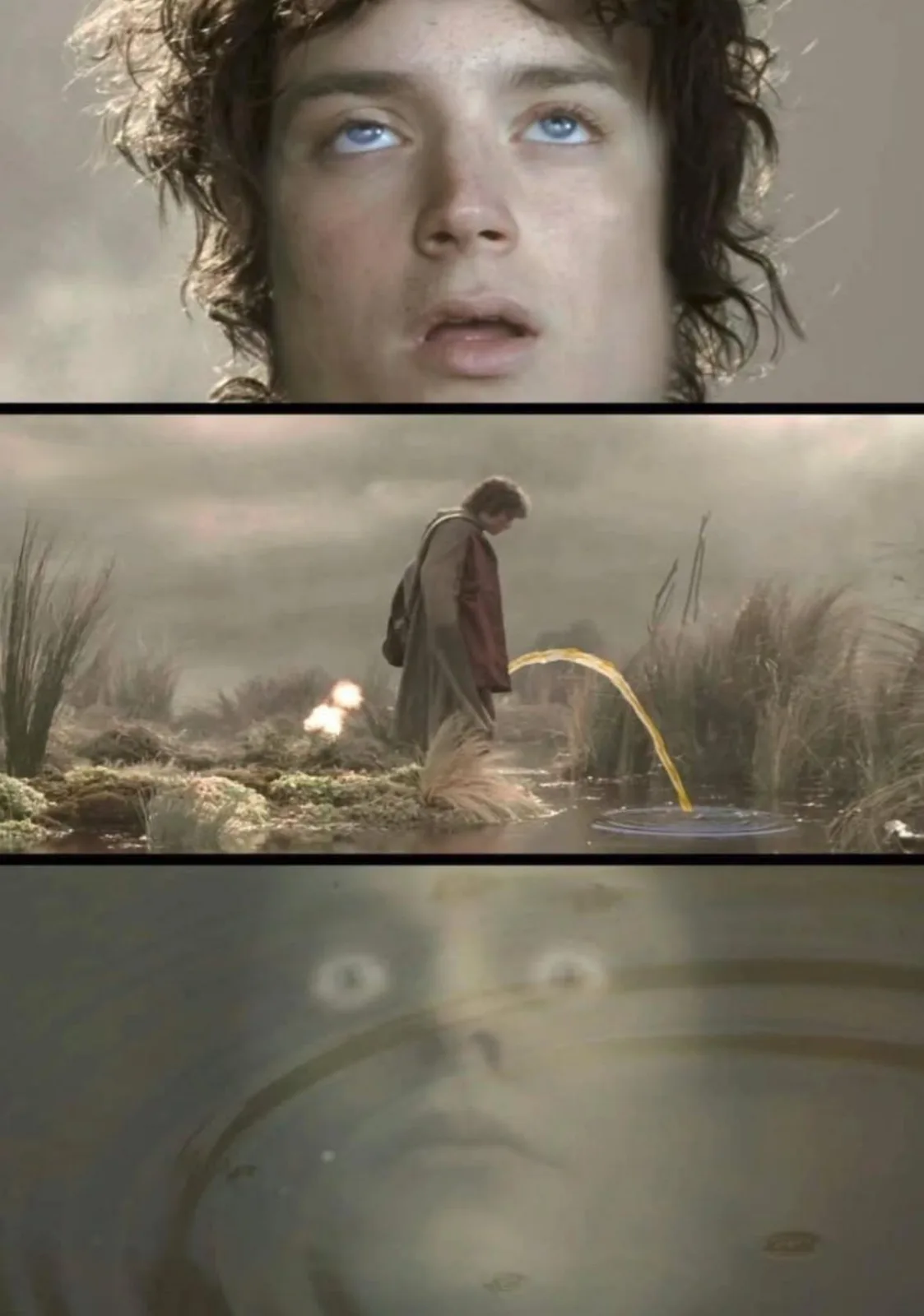 The image is a three-panel meme featuring Frodo Baggins from 'The Lord of the Rings'. The top panel shows his shocked face…