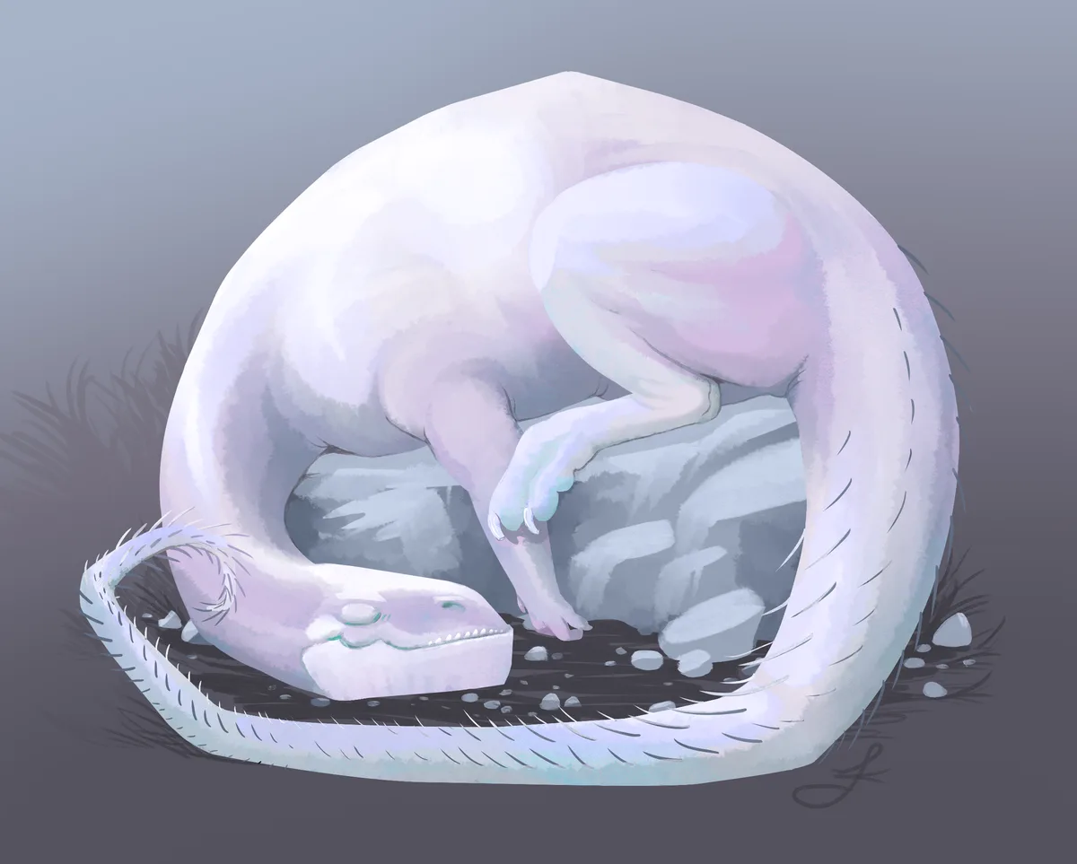 A pale, serpentine creature with a rounded body curls into a tight, sleeping ball on a rocky patch of ground. Its eyes are…