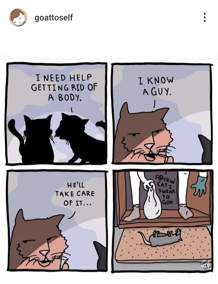 A four-panel comic strip featuring cartoon cats. In the first panel, two black cats discuss disposing of a body. The second…