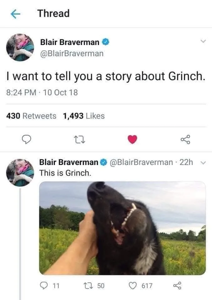 A screenshot of two tweets from Blair Braverman. The first says 'I want to tell you a story about Grinch.' The second shows…