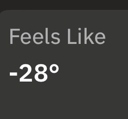 A dark gray digital display shows the text 'Feels Like' in light gray, followed by '-28°' in larger white font, mimicking a…