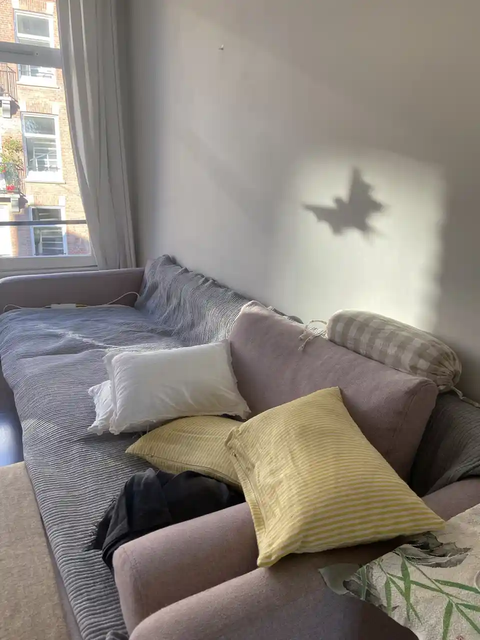 A cozy, lived-in couch with pillows and blankets is shown in a sunlit room, with a distinct shadow of a tree cast on the…