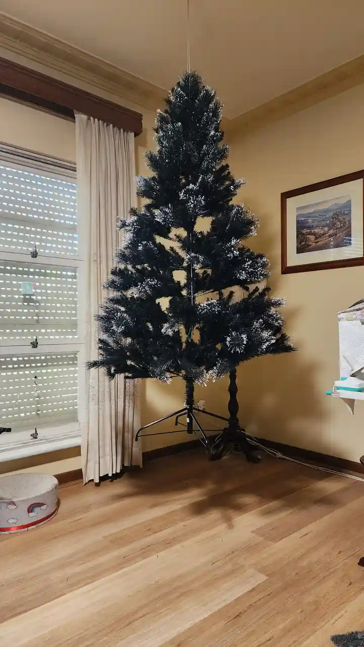 A black artificial Christmas tree with white flocked tips stands in a room with wooden floors, beige walls, and a window…