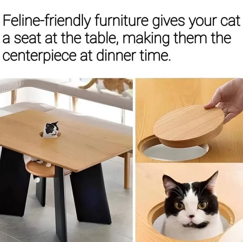 The image displays a modern wooden dining table with a circular hole in its surface, through which a black-and-white cat's…