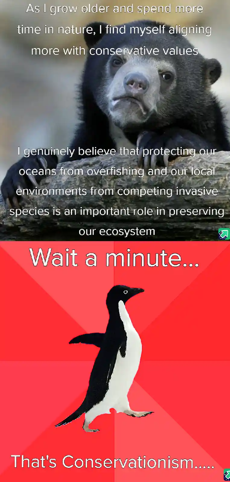 The image features a pensive-looking spectacled bear at the top, overlaid with text claiming alignment with 'conservative…