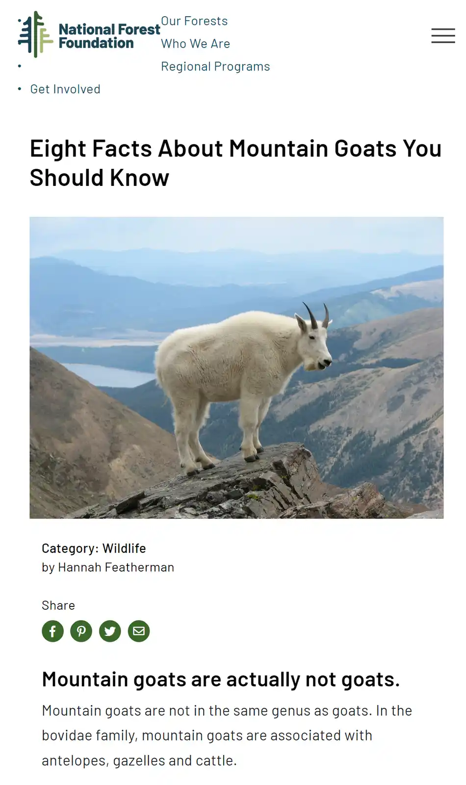 A screenshot of a National Forest Foundation webpage titled 'Eight Facts About Mountain Goats You Should Know' shows a white…