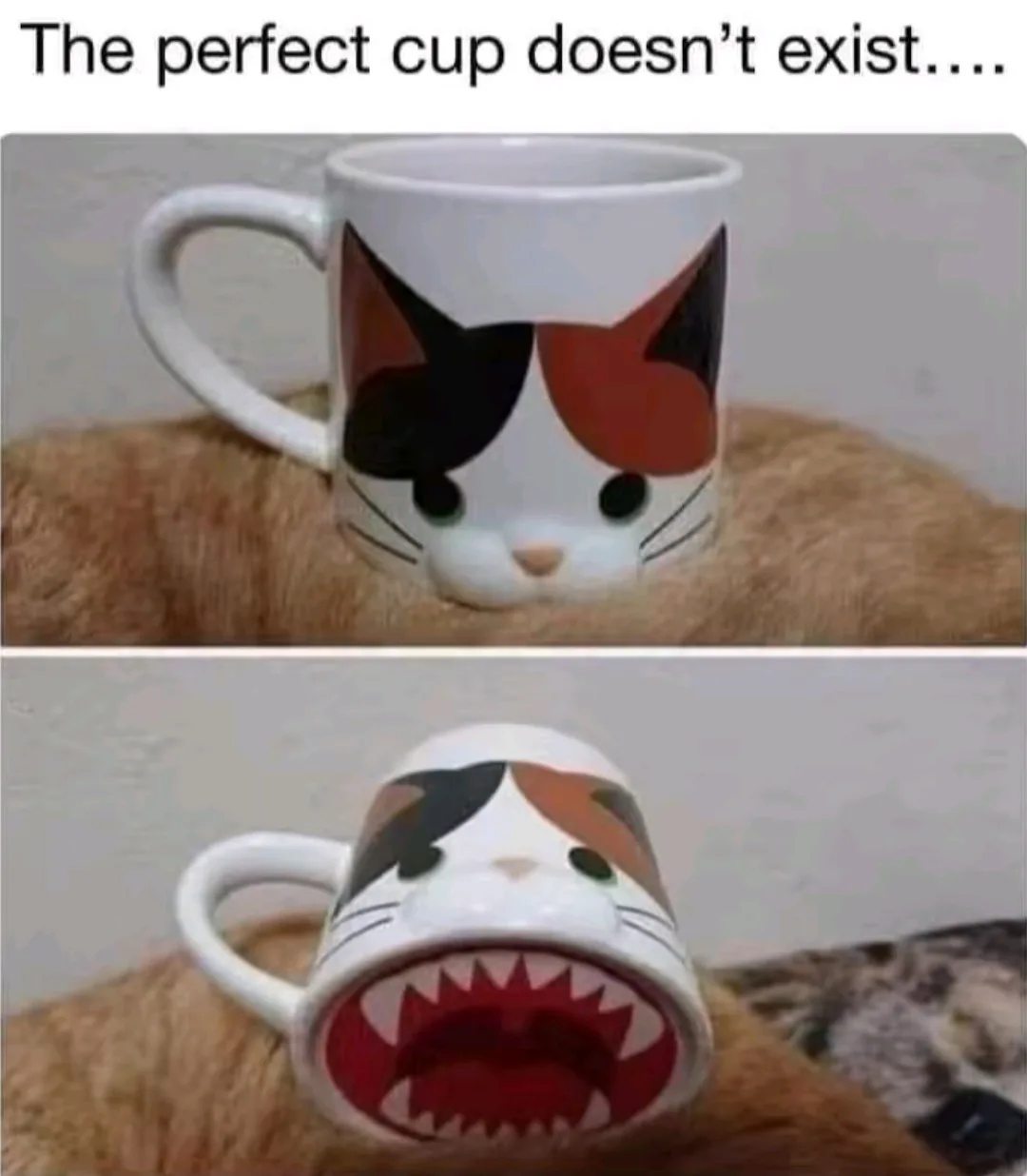 The image shows a two-panel meme featuring a white ceramic mug with a cute cat face design. In the top panel, the mug…