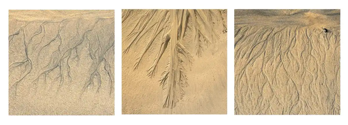 Intricate Patterns in the Sand