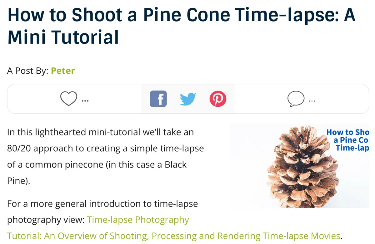 An image of a blog post titled 'How to Shoot a Pine Cone Time-lapse: A Mini Tutorial' by Peter, featuring a photo of a…