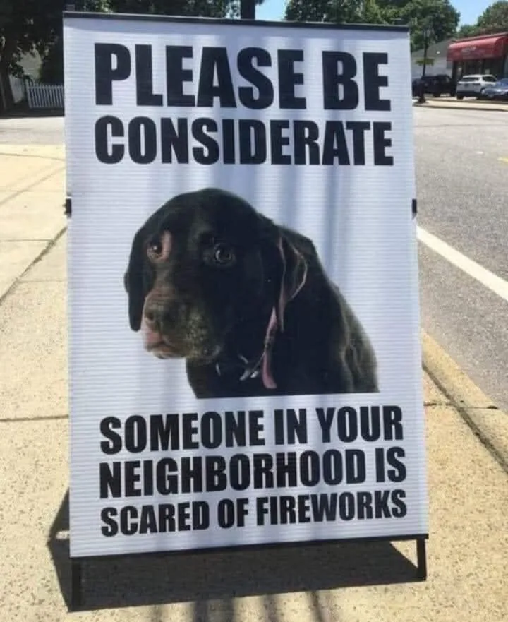 A white A-frame sign stands on a sidewalk next to a street, featuring a photo of a black dog with large, wide eyes looking…
