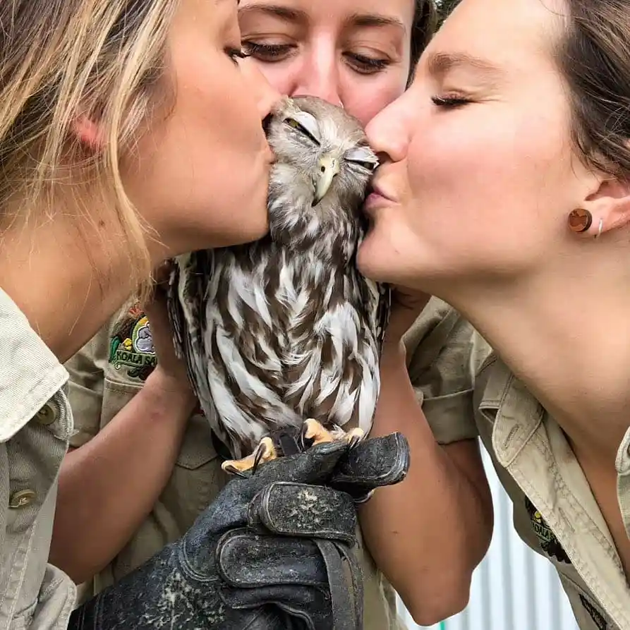 Two women in khaki uniforms and gloves are kissing a small brown and white bird of prey on either side of its head. The…