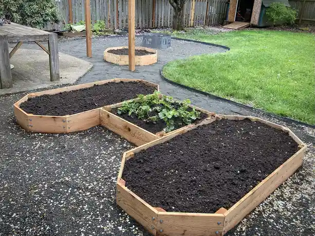 Three wooden raised garden beds arranged to form the shape of a heart, with dark soil and small green strawberry plants in…