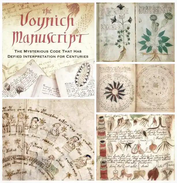 A collage of images from the Voynich Manuscript, showing its ornate, undeciphered text and bizarre illustrations of plants…