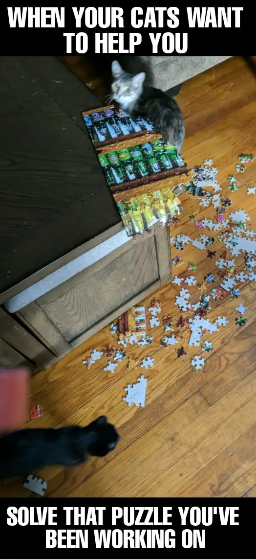 A gray tabby cat sits atop a partially completed jigsaw puzzle on a wooden floor, looking down at the scattered pieces…