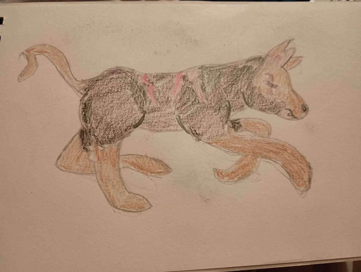 A child's crayon drawing depicts a four-legged animal with a long tail, donkey-like ears, and a snout, but with dog-like…