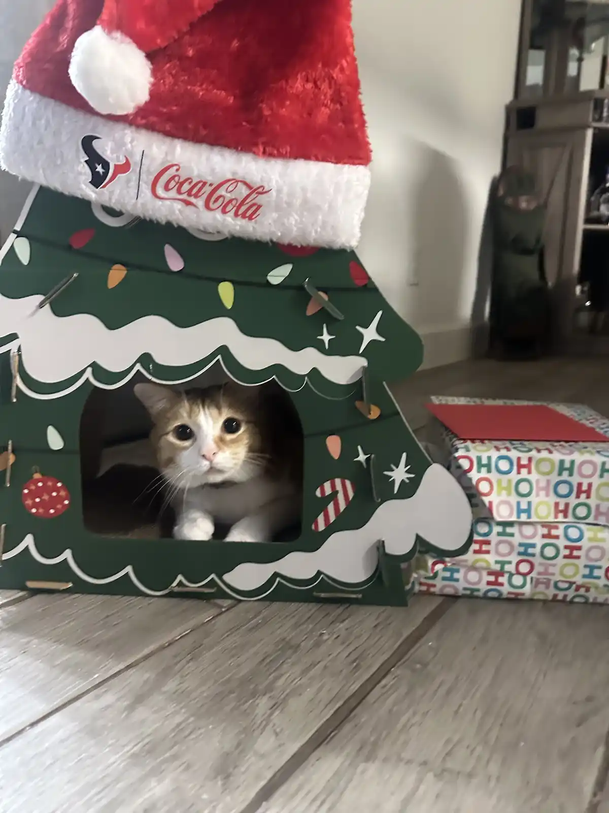 Wishing You a Joyous Christmas
