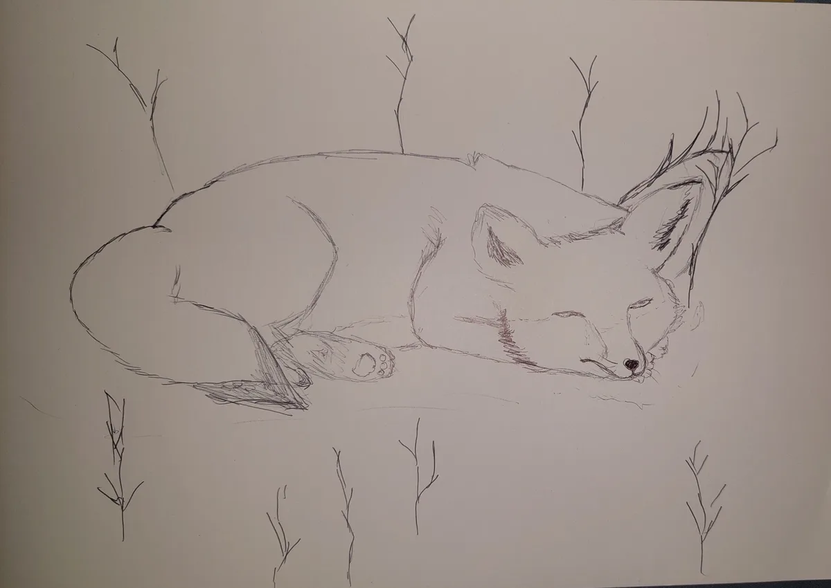 A pencil sketch depicts a fox curled up and sleeping peacefully on the ground, surrounded by sparse, bare twigs. The fox's…