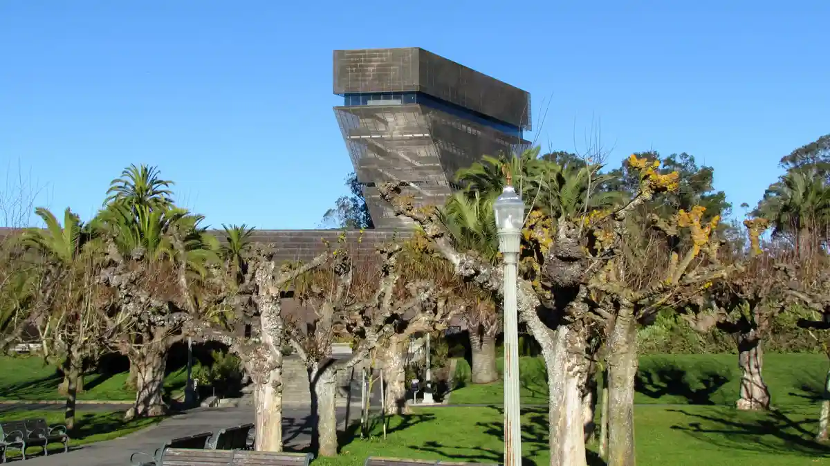 A photo of a park with uniquely shaped, gnarled trees in front of a modern, angular building under a clear blue sky. The…
