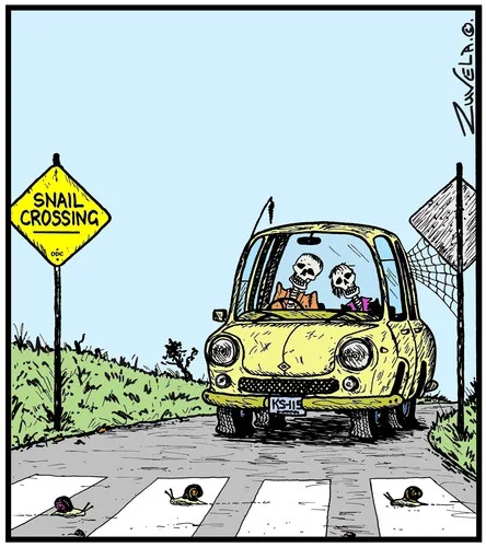A cartoon depicts two skeletal figures driving a yellow vintage car toward a pedestrian crossing where three snails are…