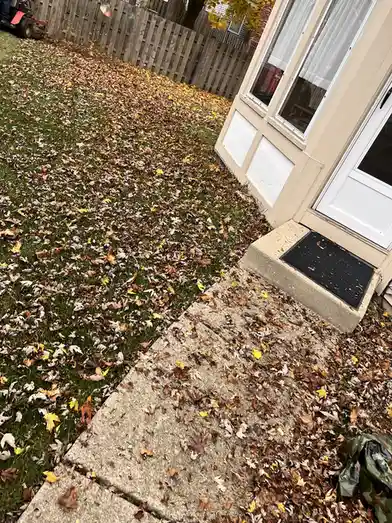 A photo of a residential front yard and sidewalk covered in fallen autumn leaves, with a house door and doormat visible. The…