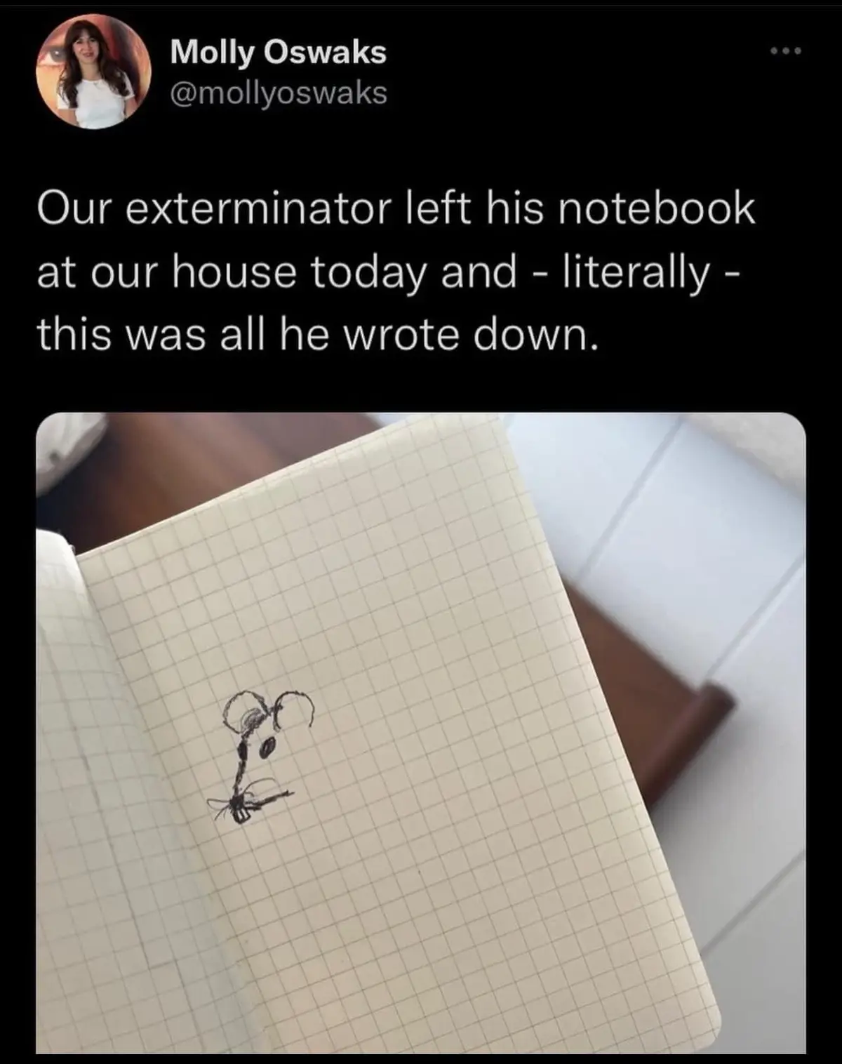 A tweet by Molly Oswaks shows a photo of an open, grid-lined notebook with a crude, childlike sketch of a spider drawn in…