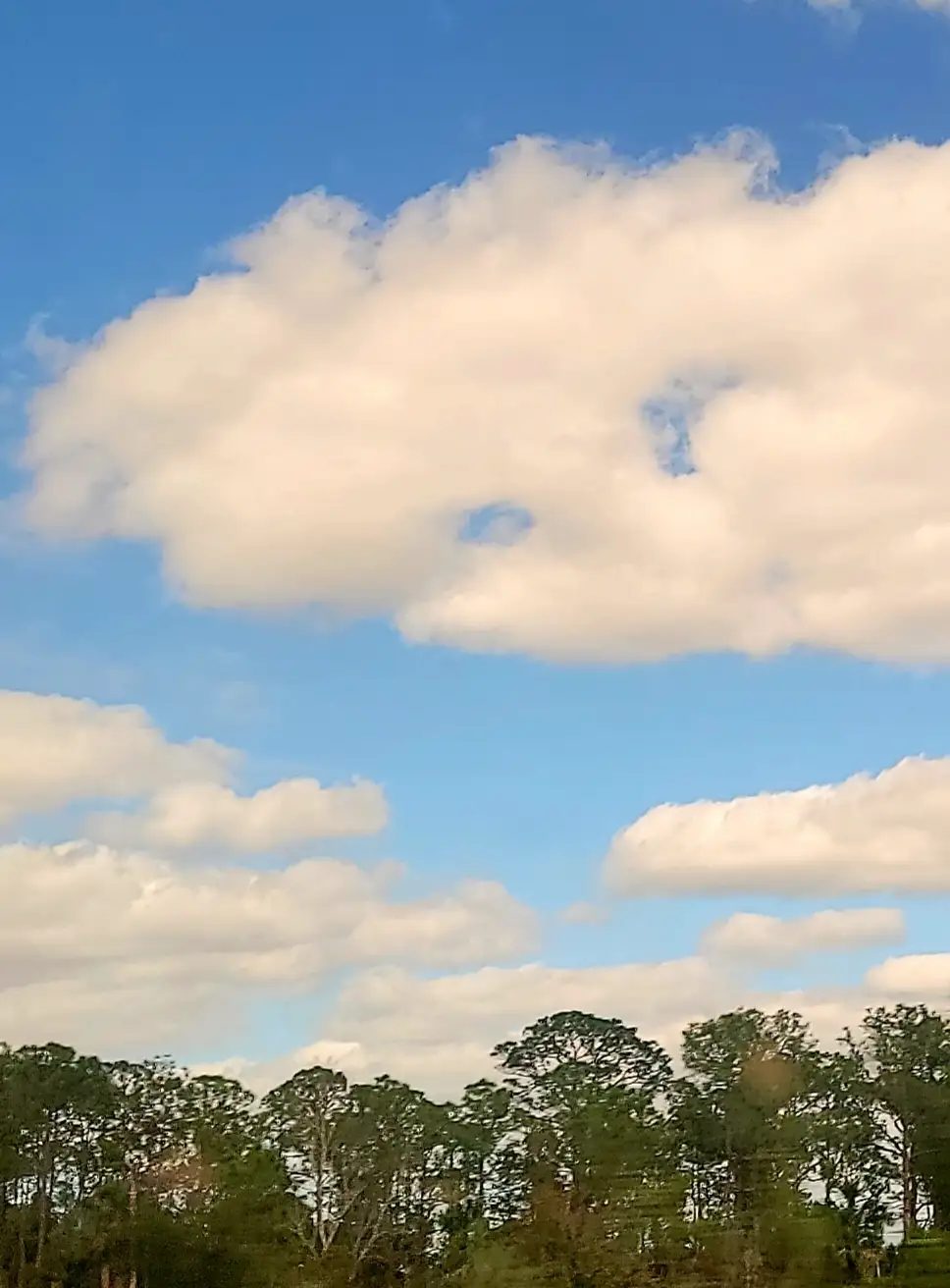 A photograph of a bright blue sky with fluffy white clouds above a line of green trees. The image has text overlaid that…