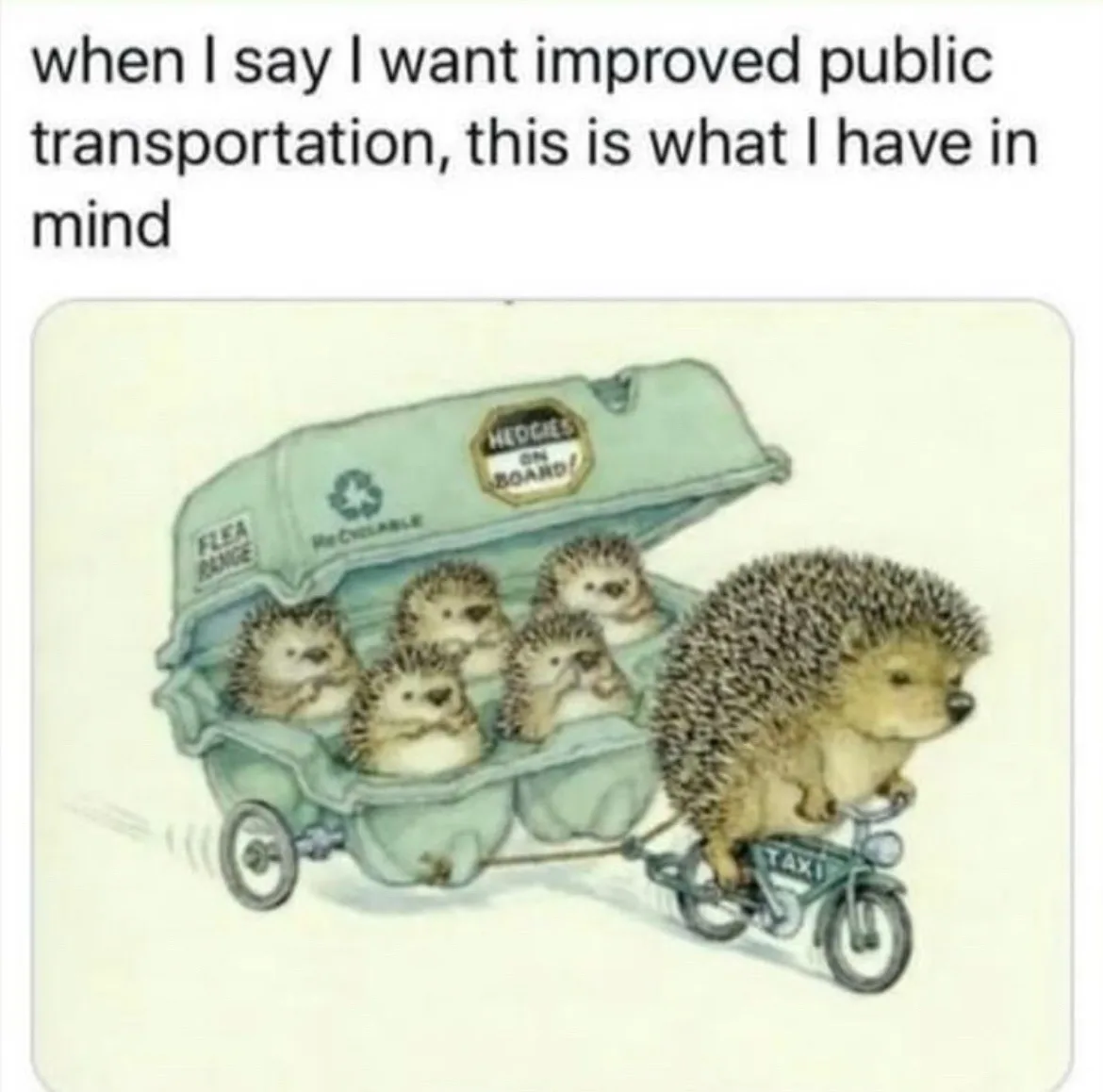 An illustration shows a hedgehog riding a small bicycle labeled 'TAXI' while pulling a cart made from a green egg carton…