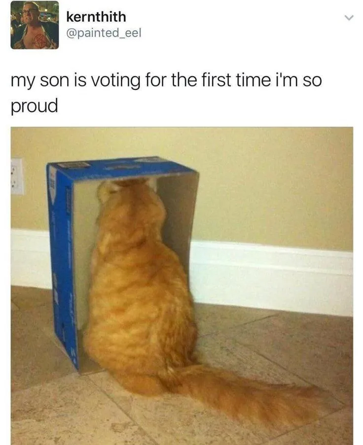 Celebrating New Year with Classic Memes 85