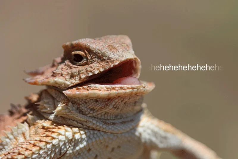 My Brother's Face When He’s About to Spill My Secrets