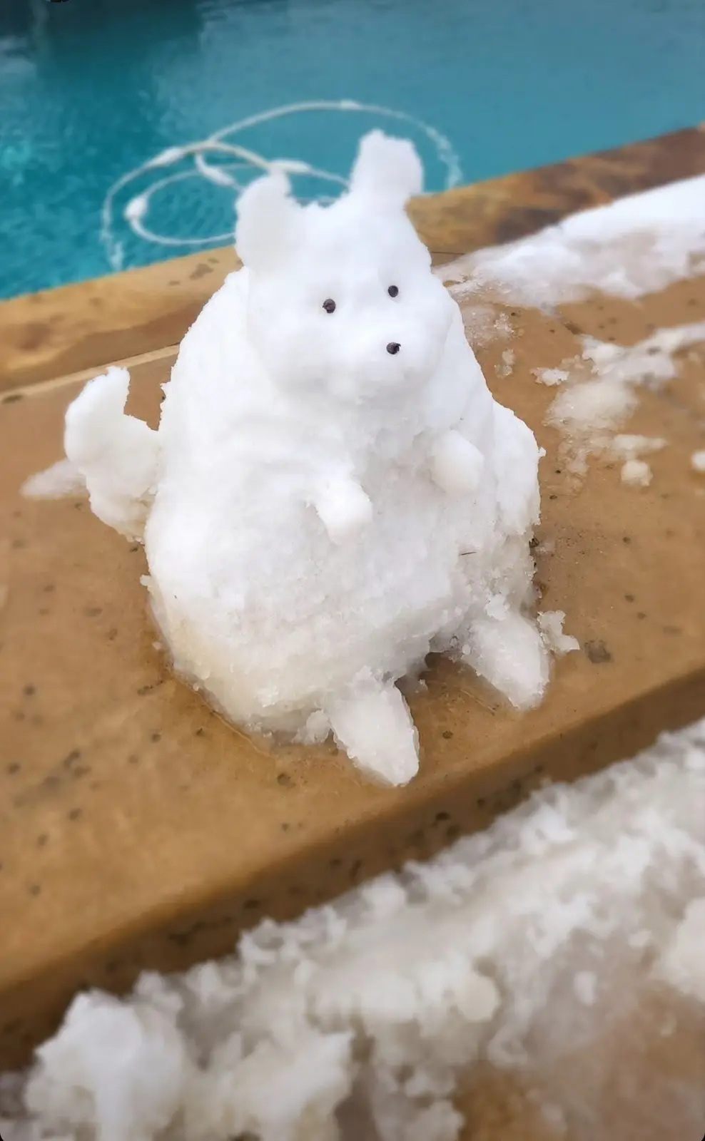 A small, crudely sculpted snow dog sits on a wooden pool deck edge, with a blue swimming pool visible behind it. The snow…