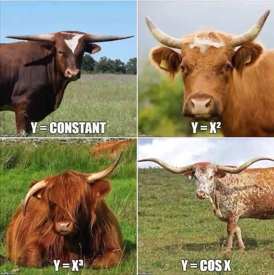 The wonders of mathematics: Let's dive in!