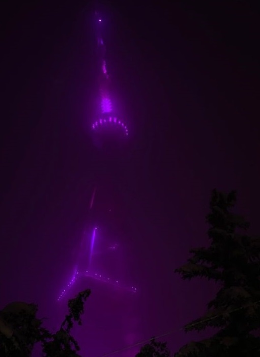 A tall tower, likely the Eiffel Tower, is illuminated with bright purple lights against a dark night sky, with tree…