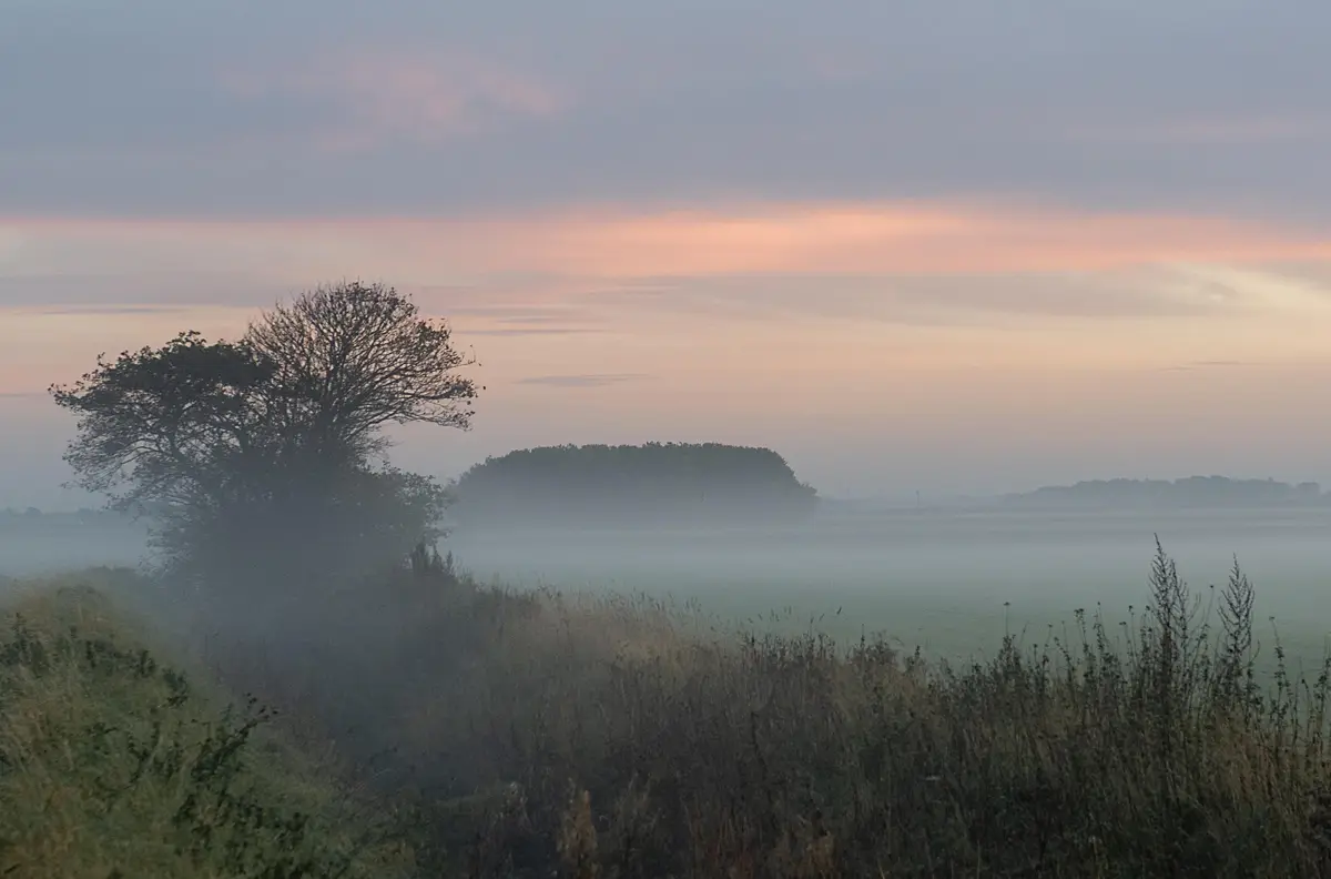 A serene, misty landscape at dawn or dusk, featuring a lone tree on the left, distant treelines shrouded in fog, and a soft…
