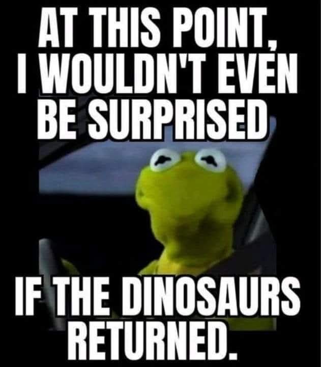 A still image of Kermit the Frog, looking upward with a weary, resigned expression, is overlaid with bold white text. The…