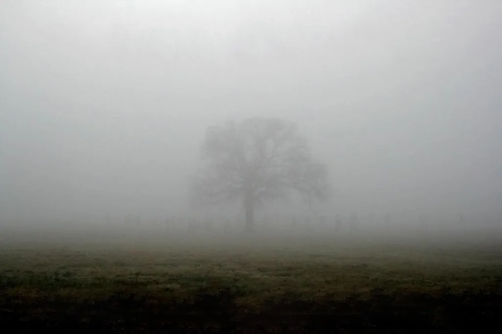 A foggy field with a lone tree in the center, surrounded by faint, ghostly silhouettes of people. The overlaid text reads…