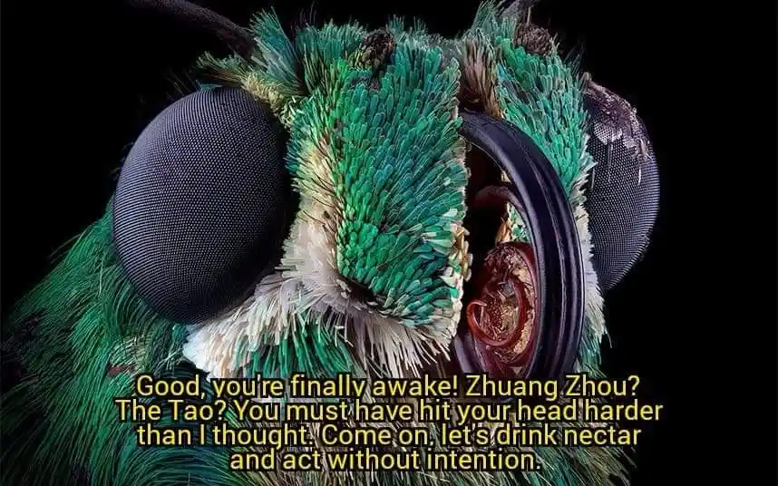 Now That’s What I Call Memes: Volume 4 Unleashed