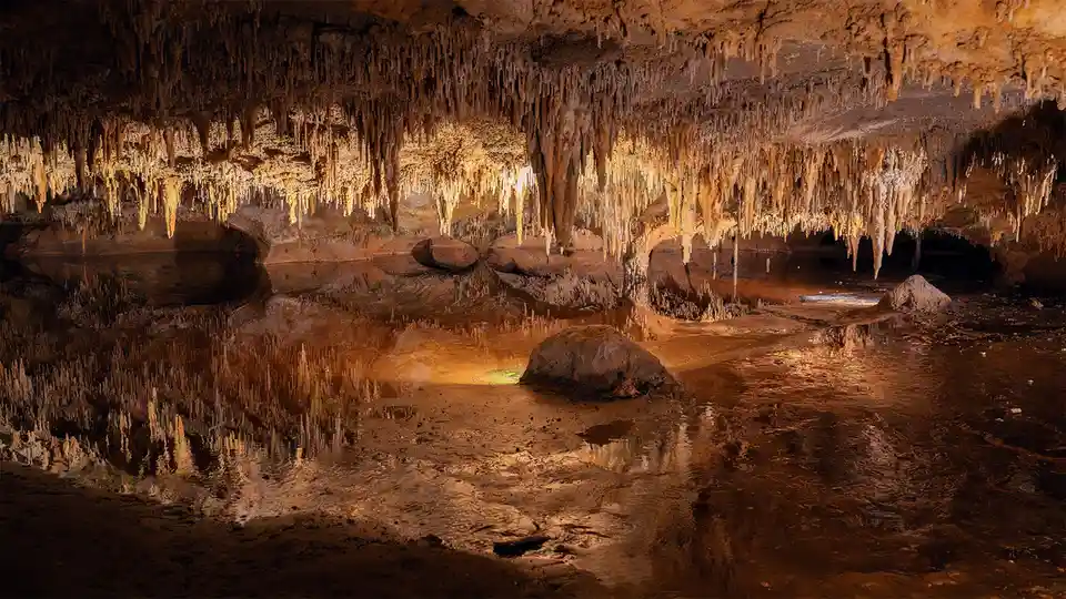 A stunning photograph of a cavern with numerous stalactites hanging from the ceiling and stalagmites rising from the…