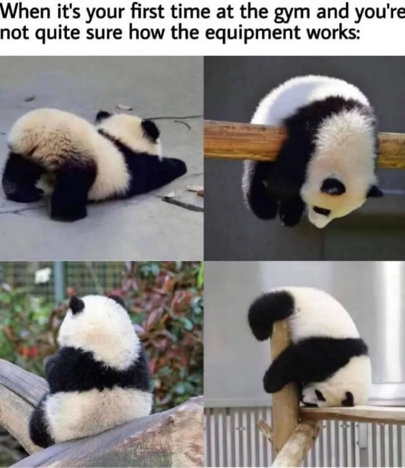 A four-panel meme featuring a panda in various awkward, confused poses while interacting with wooden beams or logs, visually…