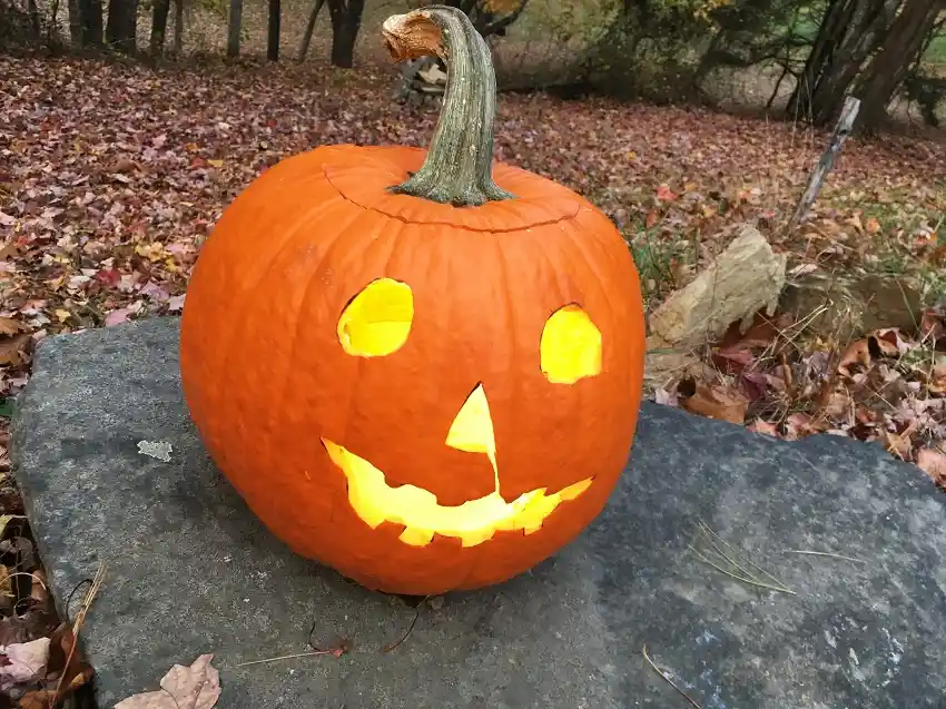 A carved orange pumpkin with a glowing face sits on a gray stone in a leaf-covered yard. The pumpkin has triangular eyes, a…