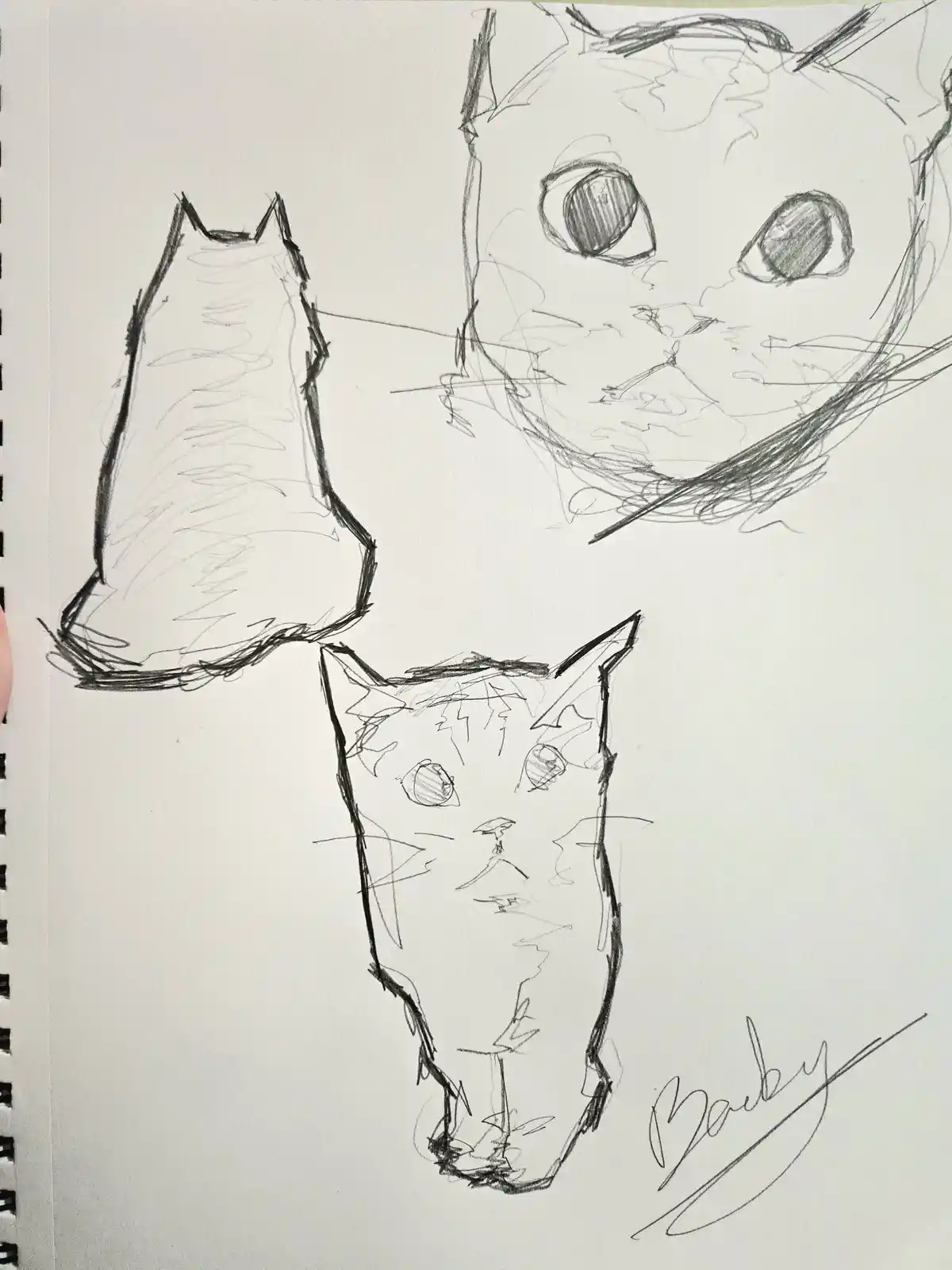 A sketchbook page shows three rough pencil drawings of cats: one full-body view from behind, one large close-up of a cat's…