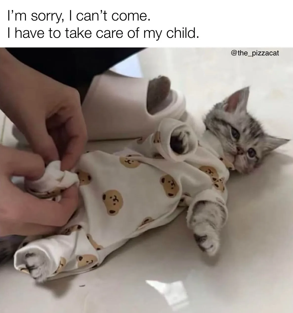 A small gray tabby kitten wearing a white baby onesie with brown bear faces is lying on its back on a light-colored floor. A…