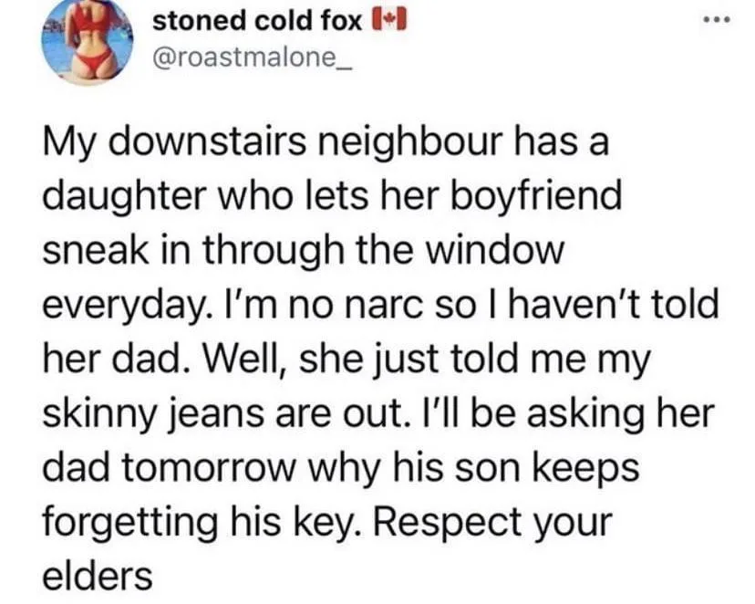 A screenshot of a tweet from 'stoned cold fox' with a profile picture of a woman in a red bikini. The text describes a…