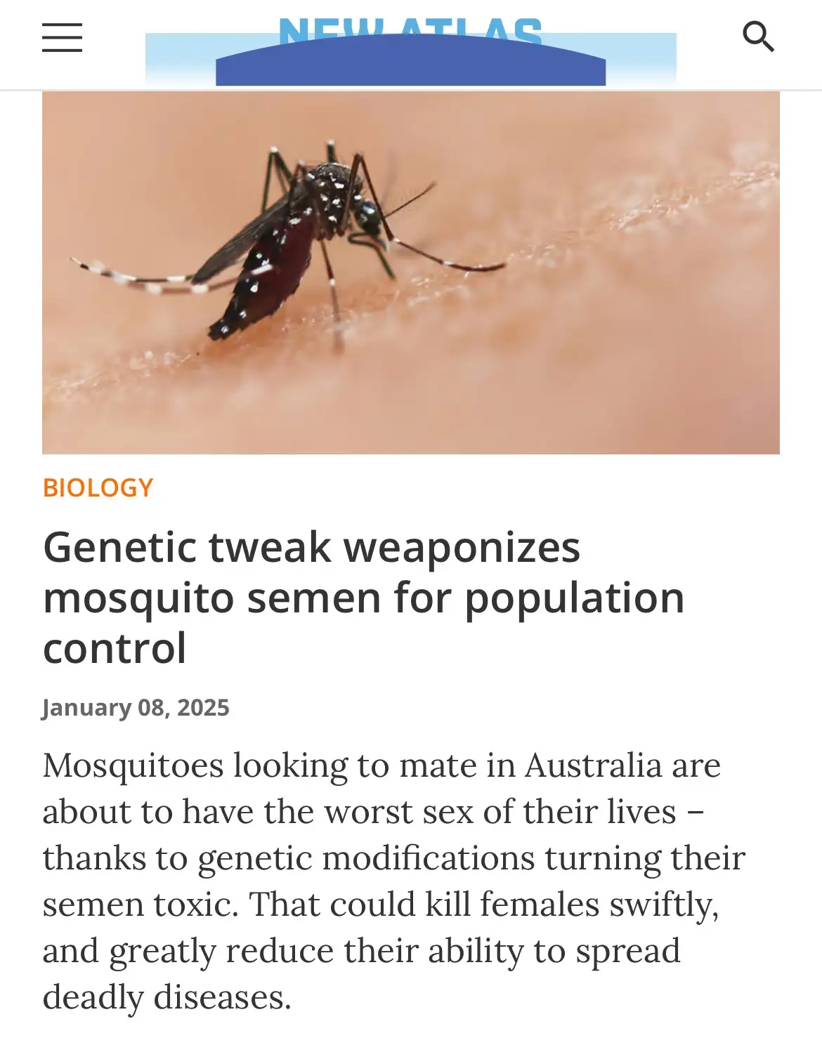 A close-up photo shows a mosquito on human skin, overlaid with a news article headline from 'New Atlas' dated January 08…