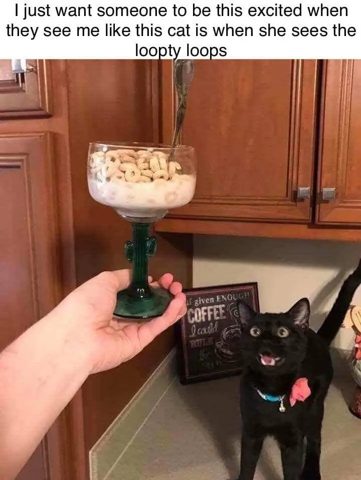 A person holds a green cactus-shaped glass filled with cereal and milk, presenting it to a black cat. The cat, wearing a…